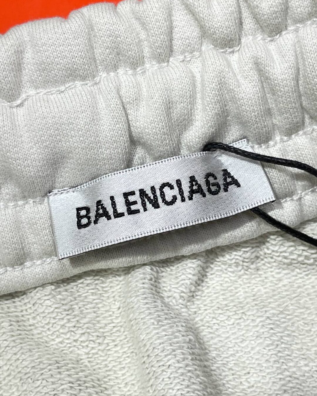 Спортивные Штаны Balenciaga — фото 8