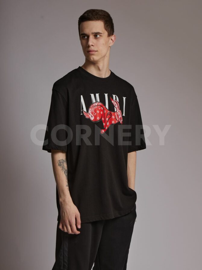 Футболка Amiri