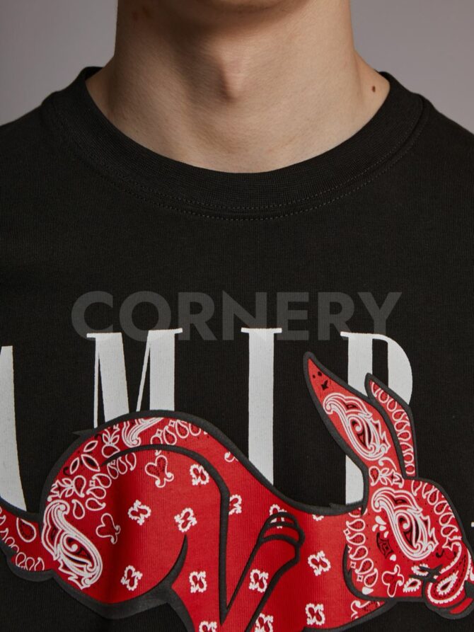 Футболка Amiri