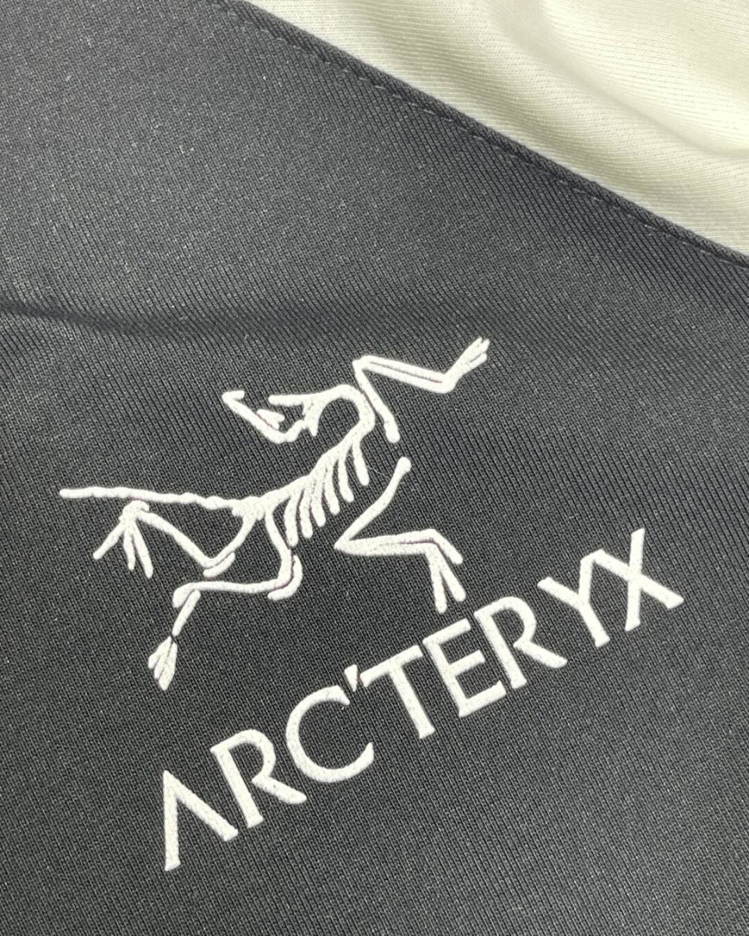 Футболка Arcteryx — фото 7