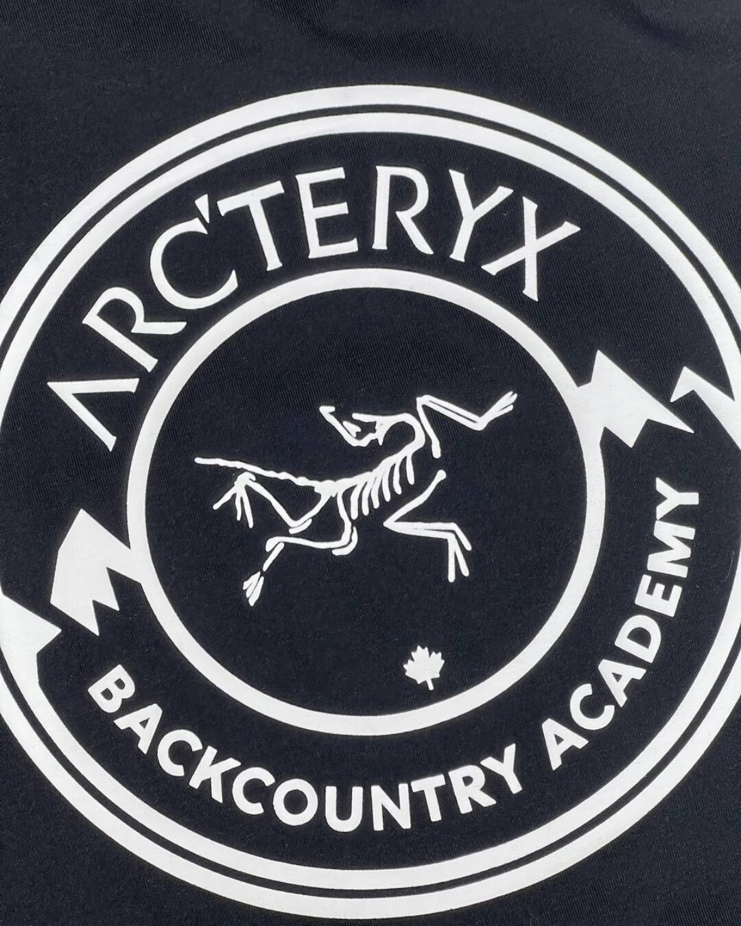 Футболка Arcteryx — фото 8
