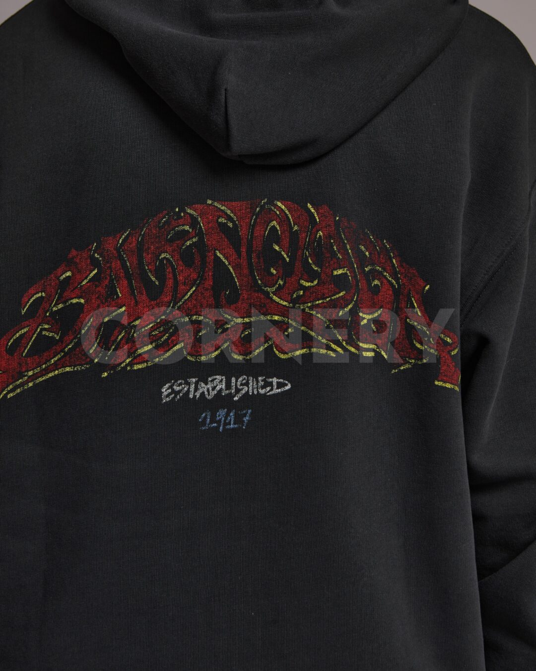 Zip-Худи Balenciaga