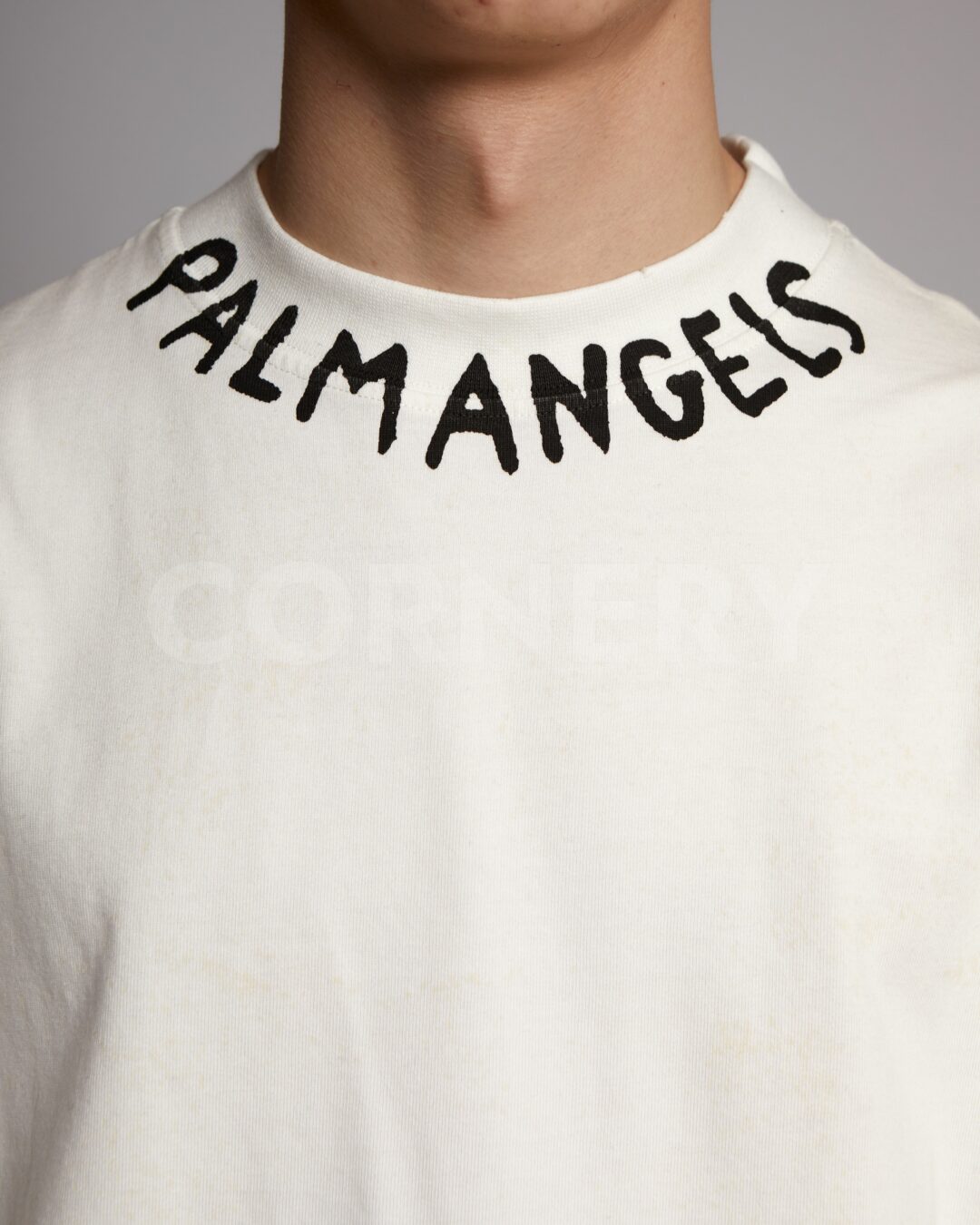 Футболка Palm Angels