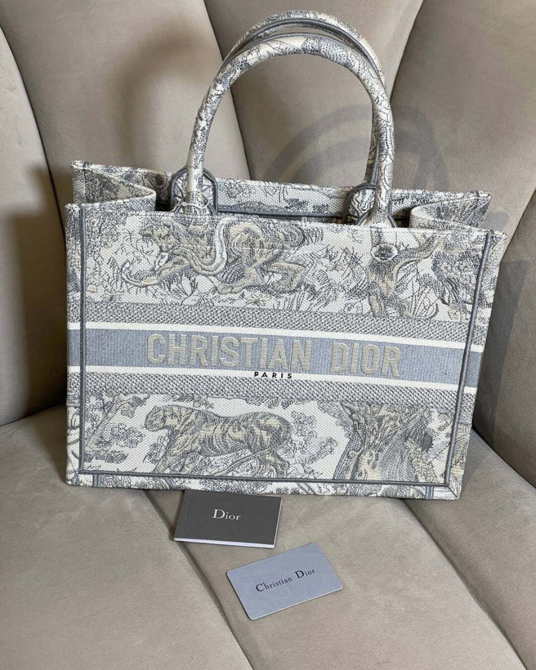 Сумка Dior Book Tote