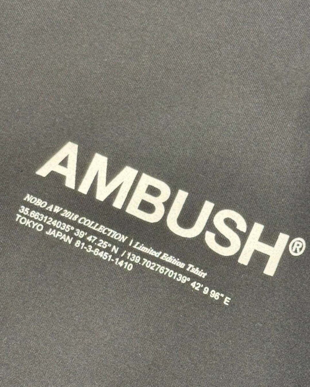 Футболка Ambush