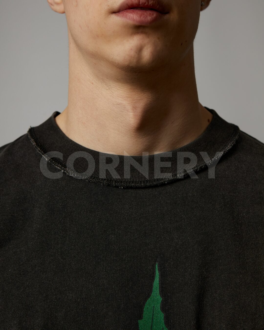 Футболка Cornery
