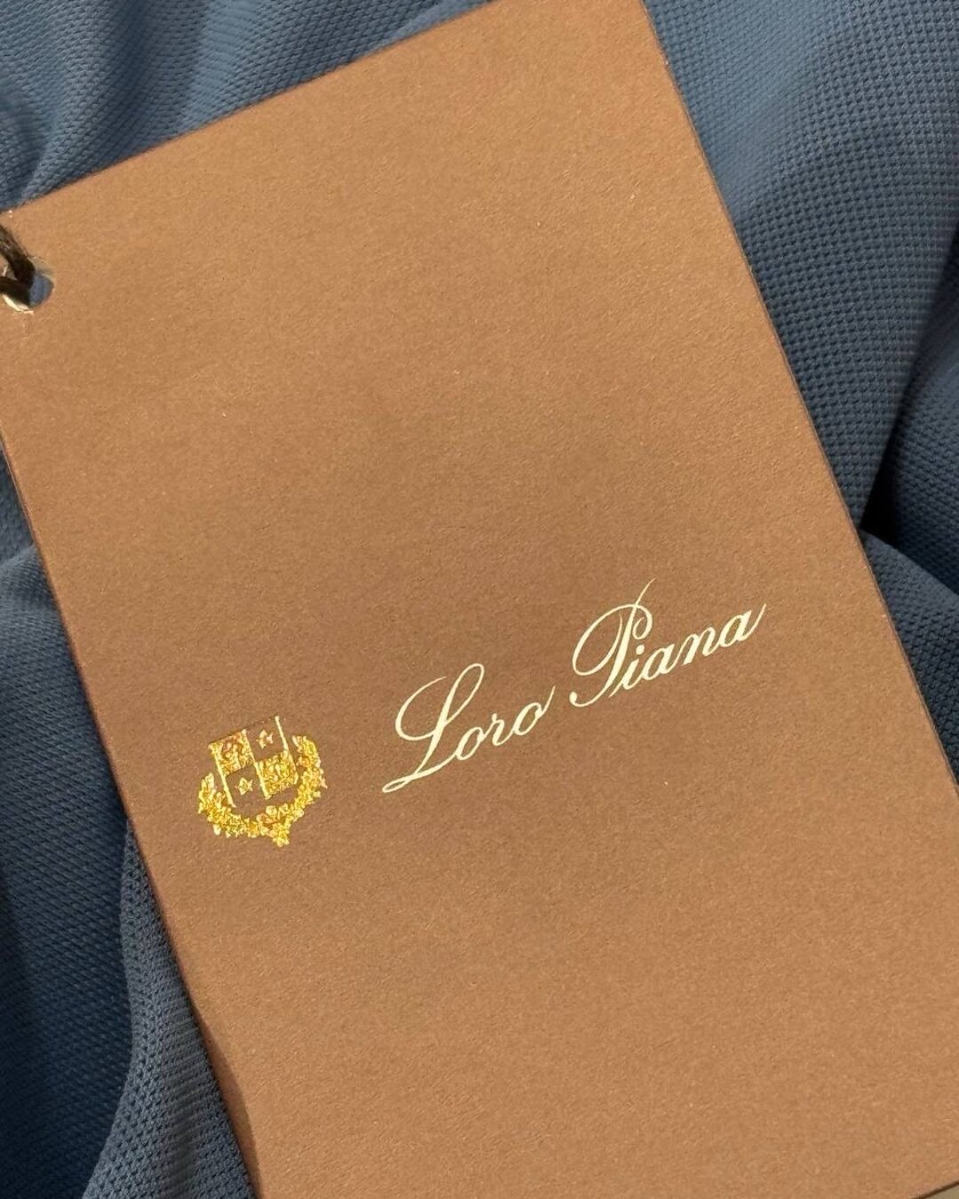 Футболка Loro Piana S25