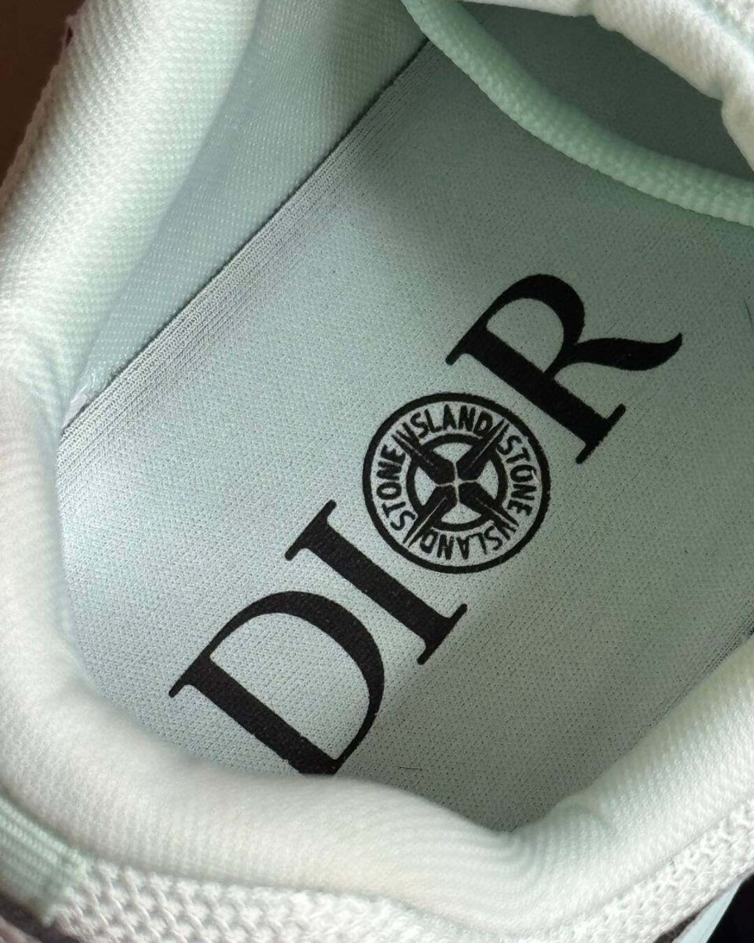 Кроссовки Dior x Stone Island