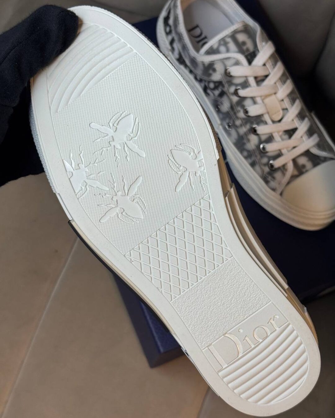 Кеды Dior