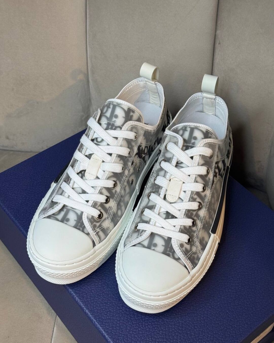Кеды Dior