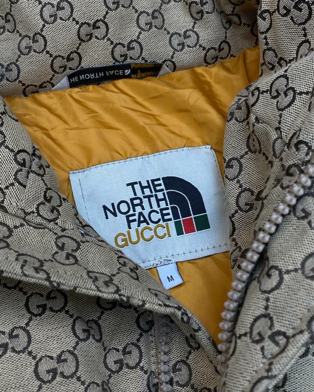 Куртка Gucci x The North Face
