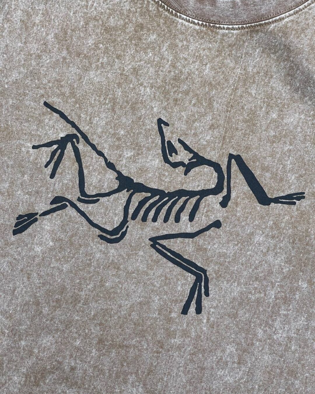Футболка Arcteryx