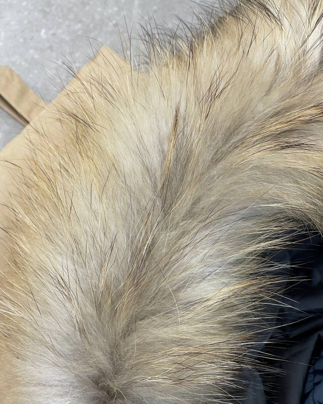 Куртка Moncler