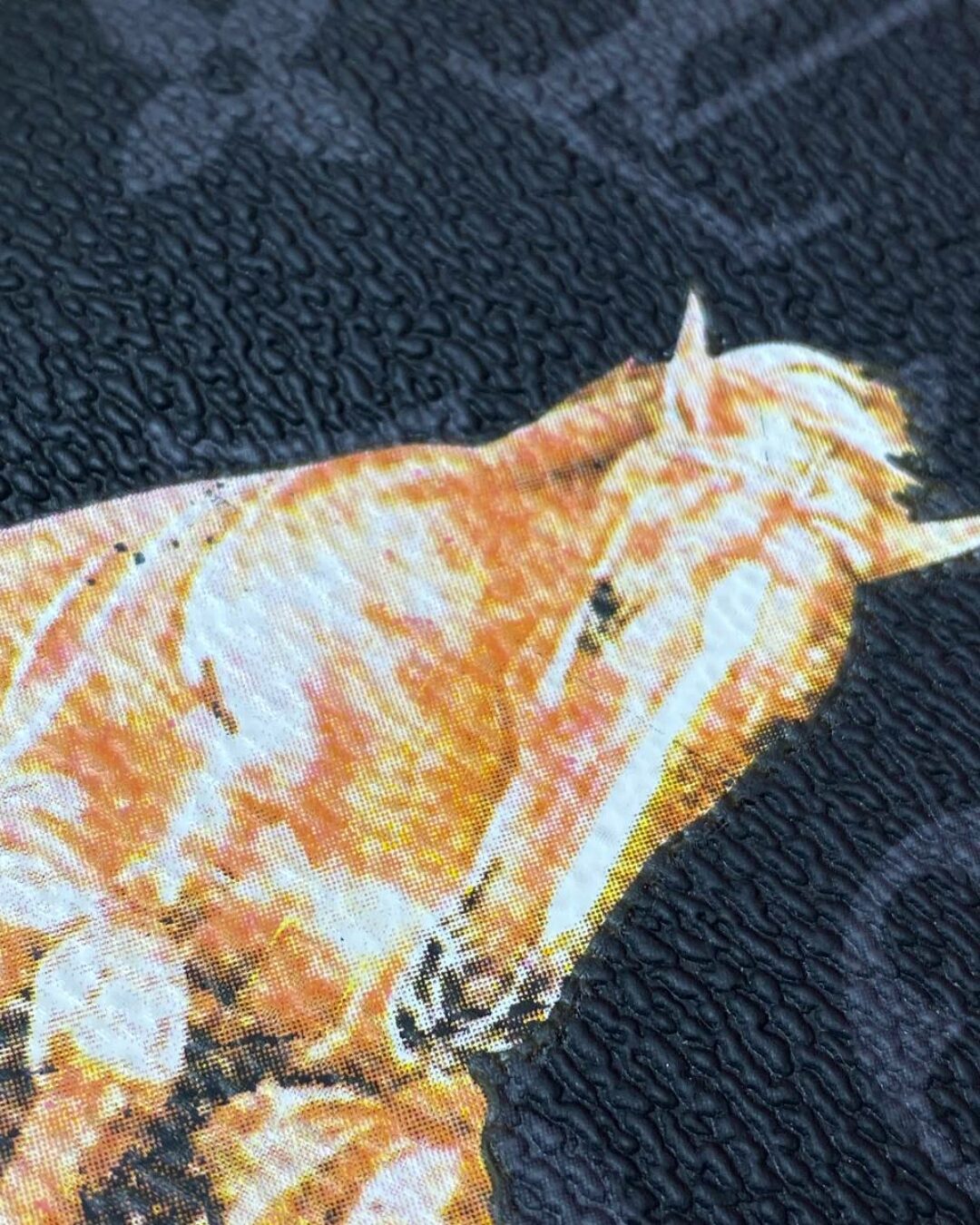 Обложка для паспорта Louis Vuitton