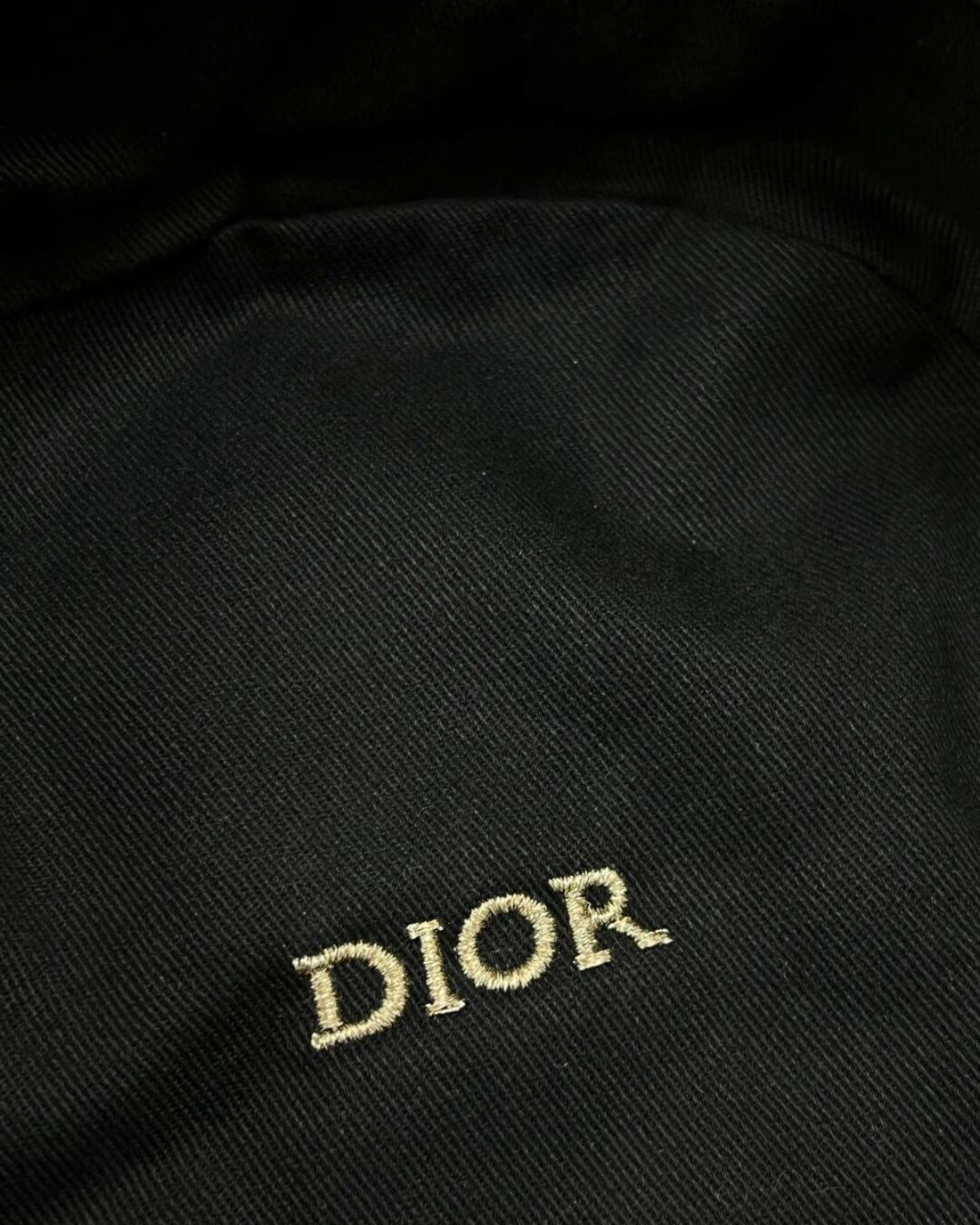 Панама Dior