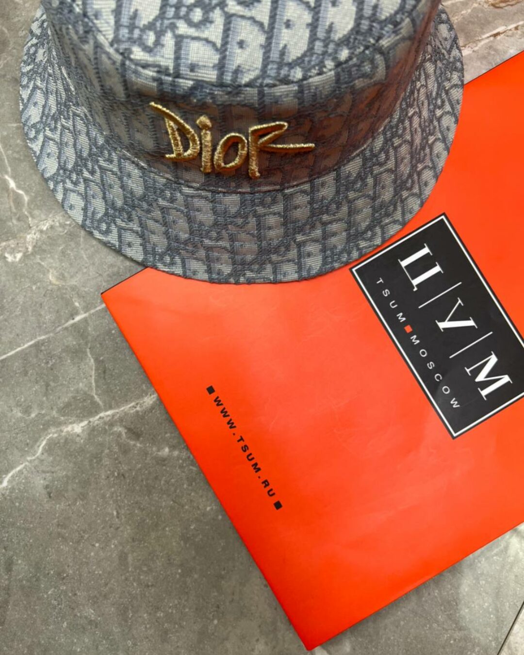 Панама Dior