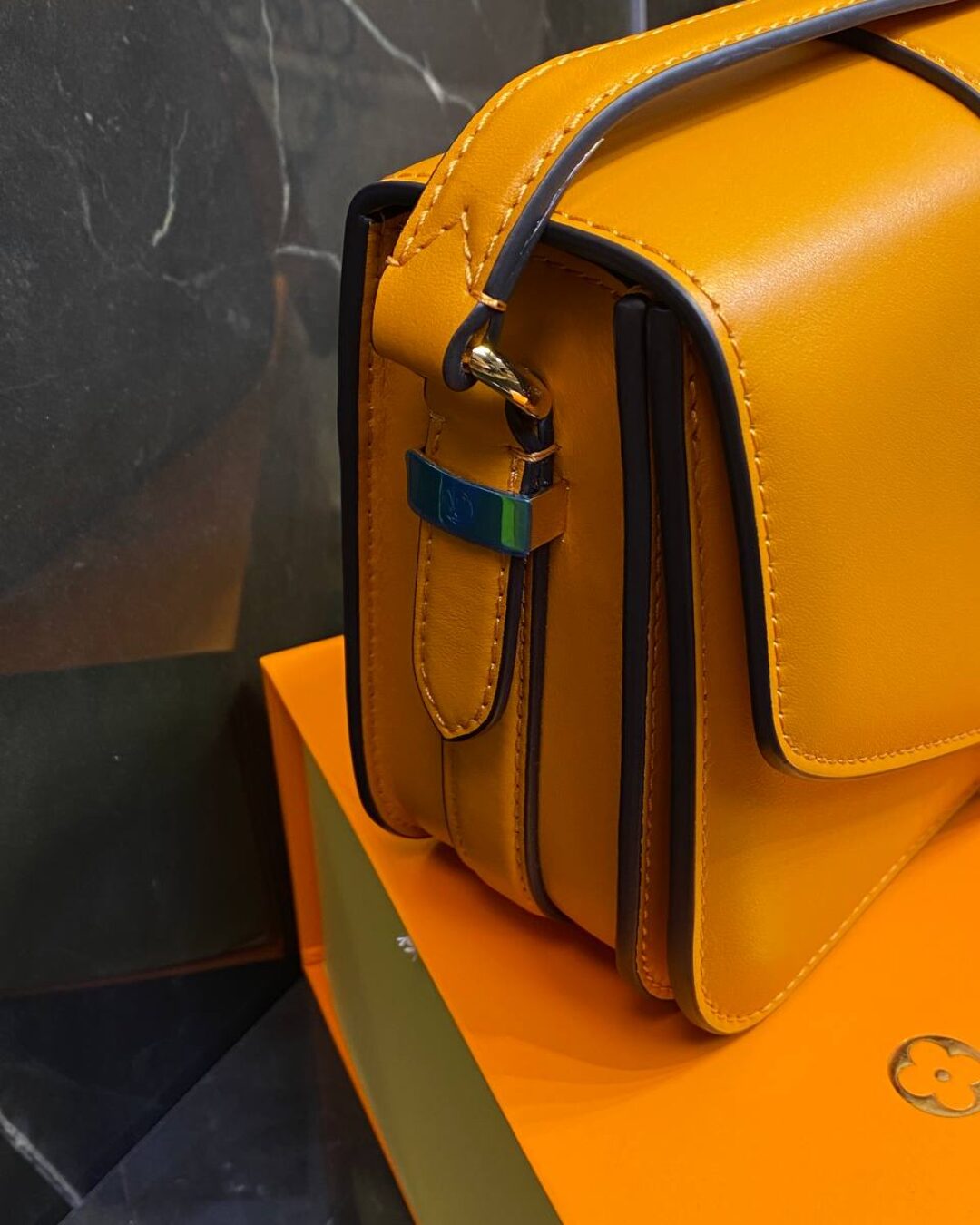 Сумка Louis Vuitton Pont 9 Soft MM