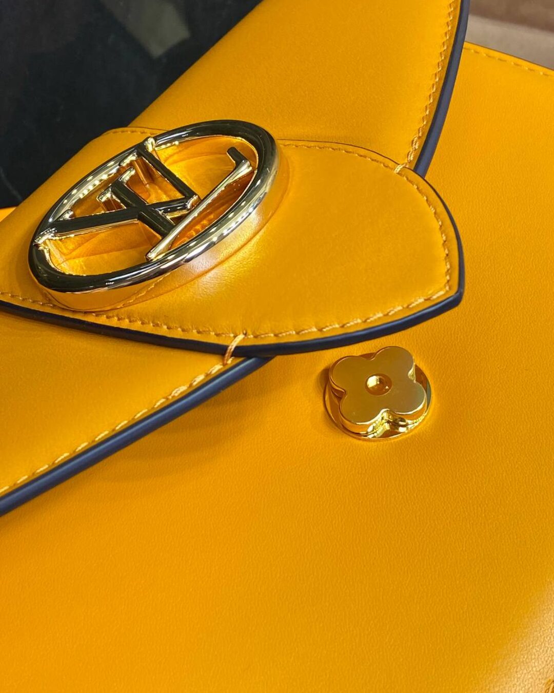 Сумка Louis Vuitton Pont 9 Soft MM