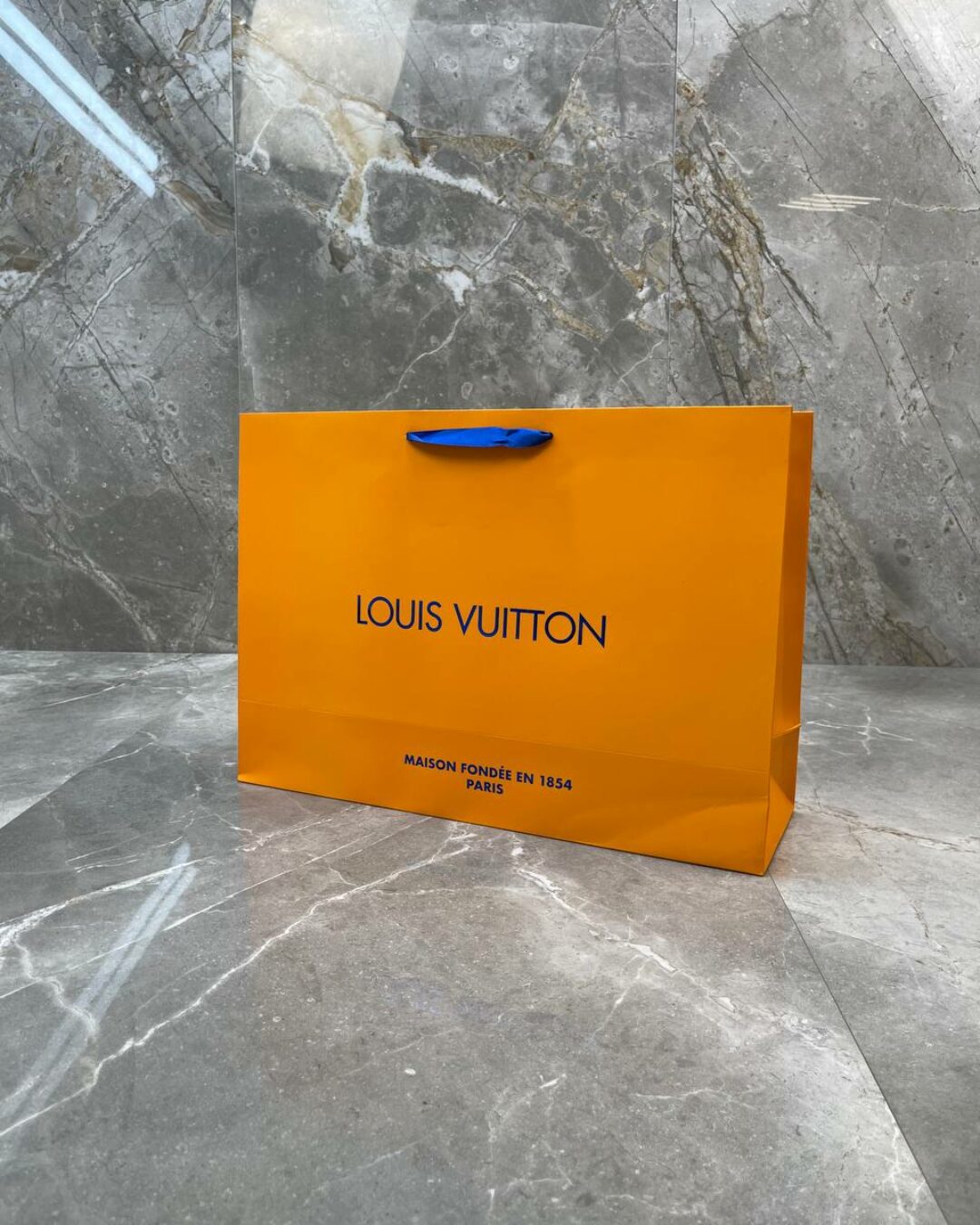 Пакет Louis Vuitton