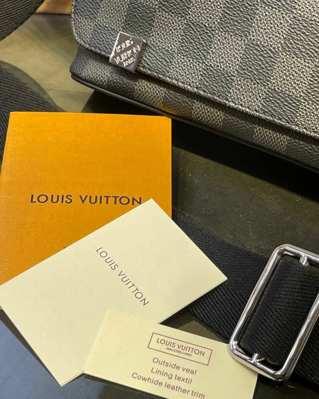 Сумка Louis Vuitton District PM