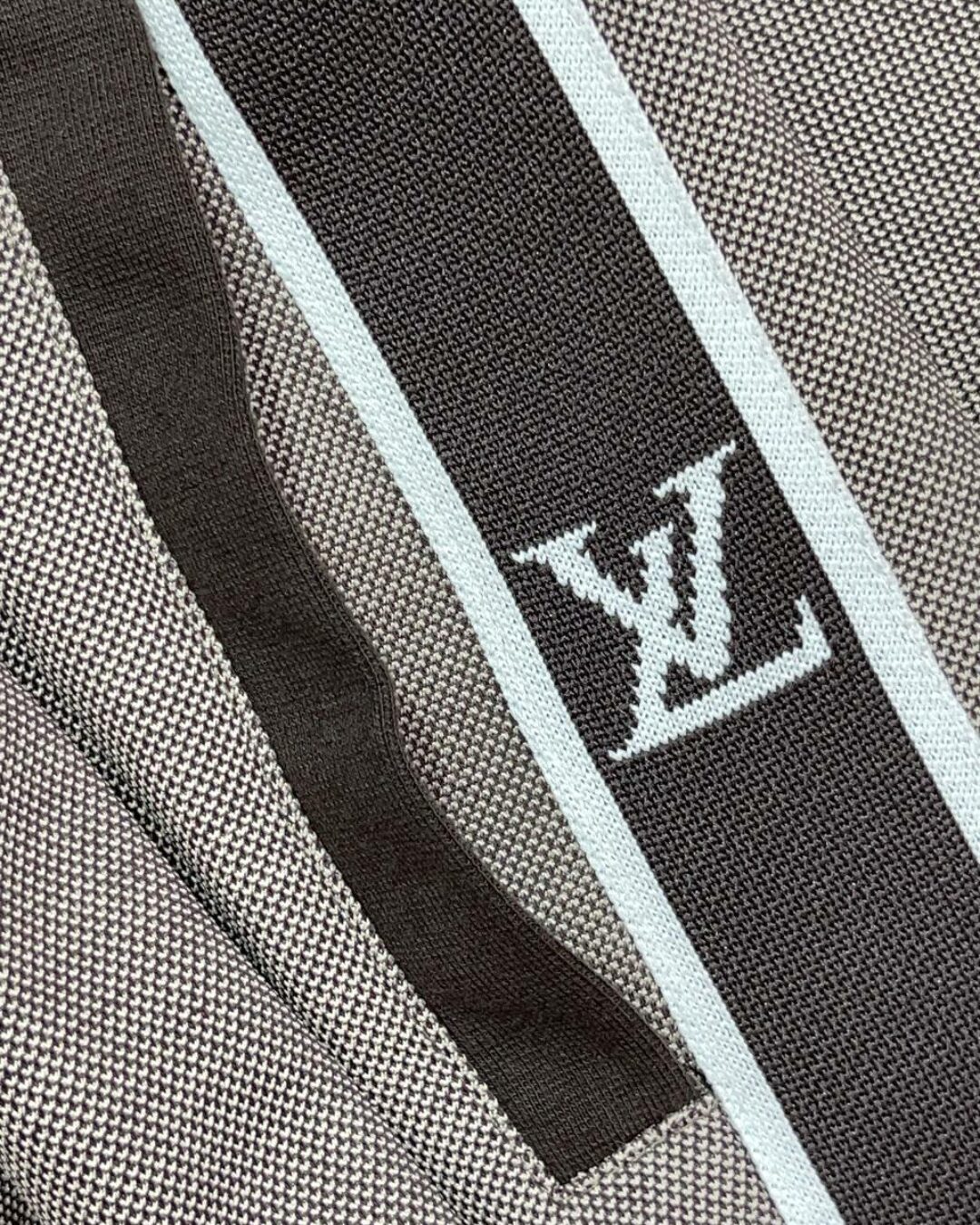 Спортивный Костюм Louis Vuitton