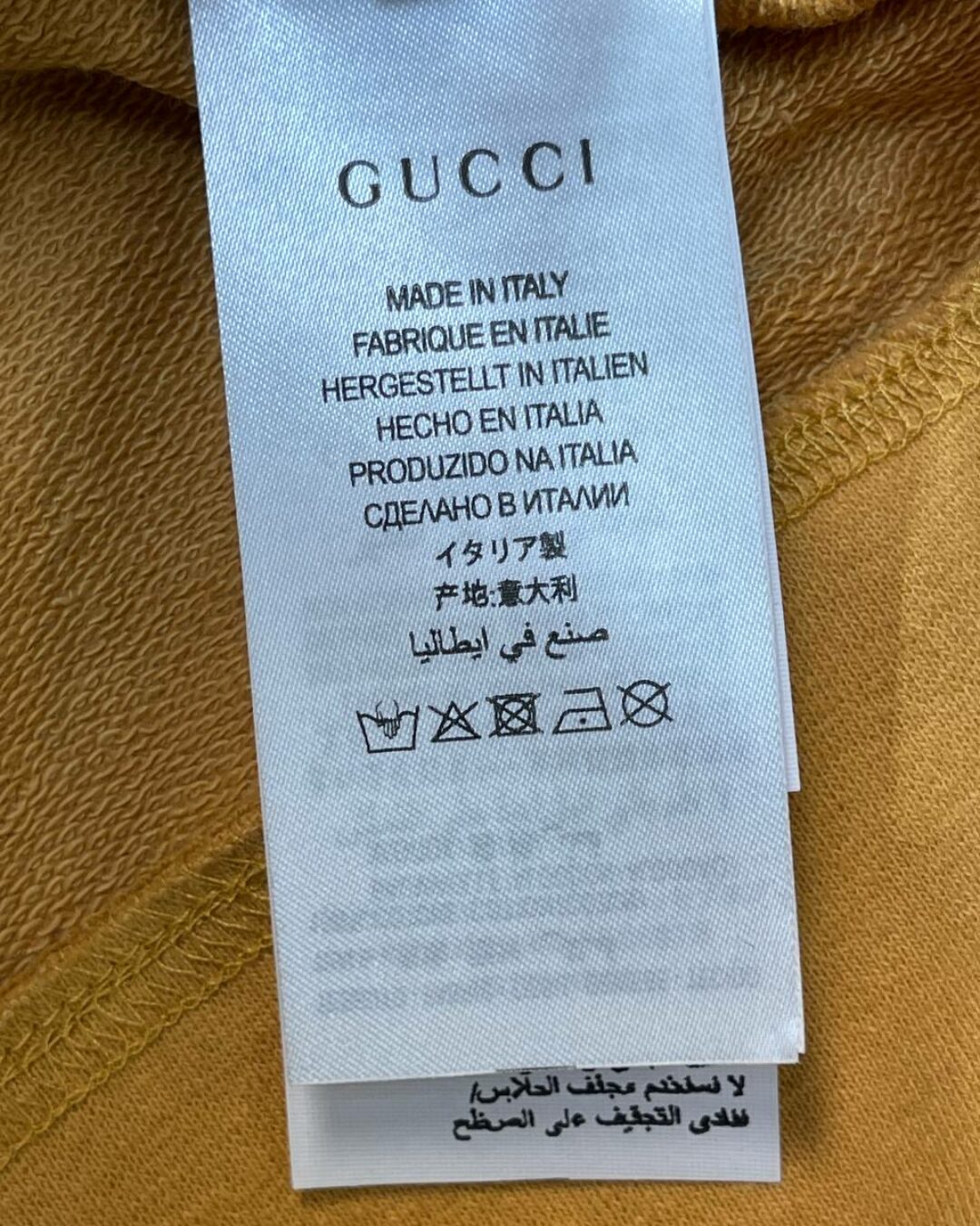 Худи Gucci x The North Face