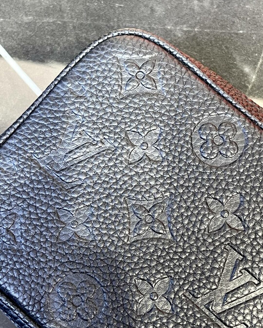 Сумка Louis Vuitton Alpha Wearable Wallet Bag