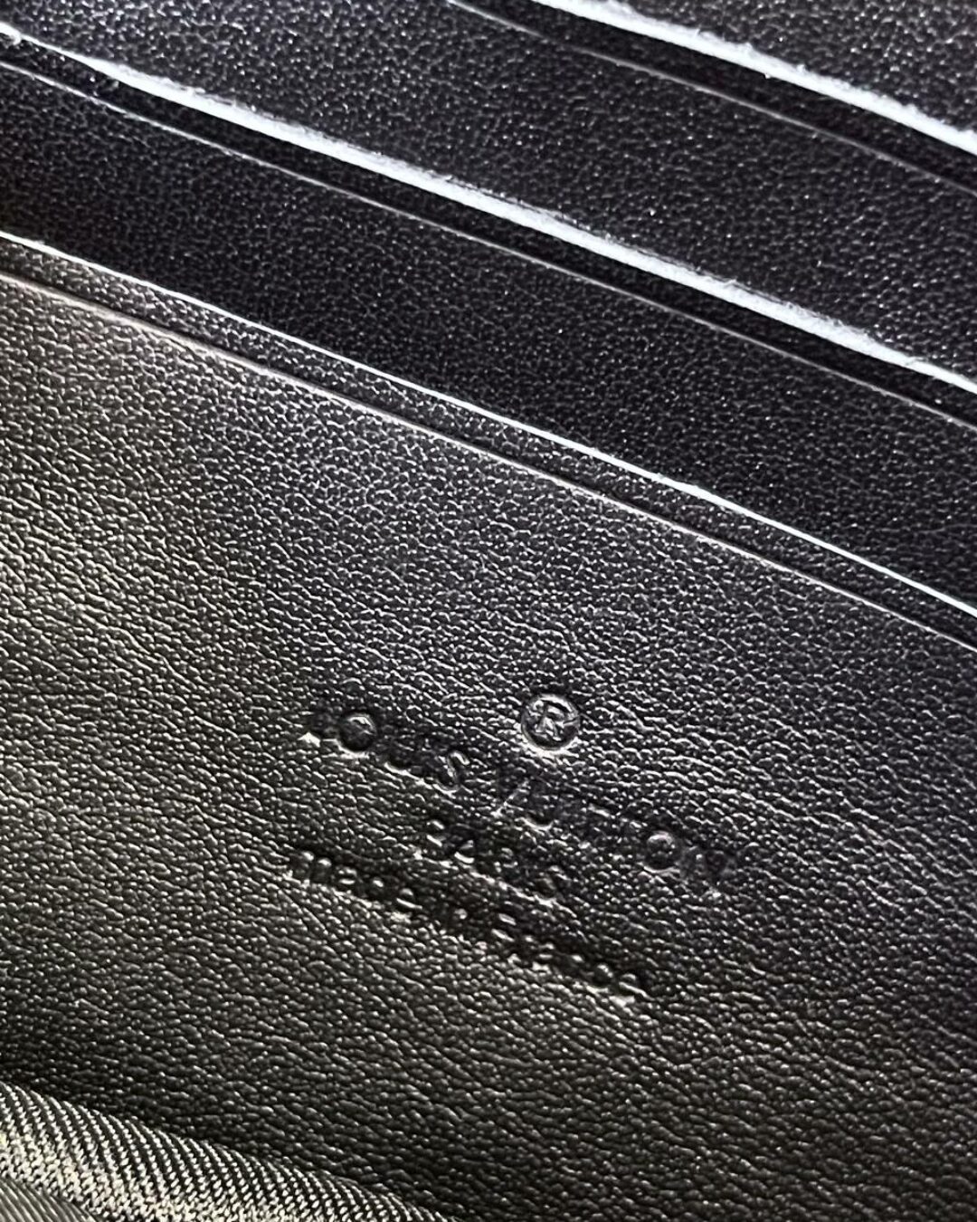 Сумка Louis Vuitton Alpha Wearable Wallet Bag