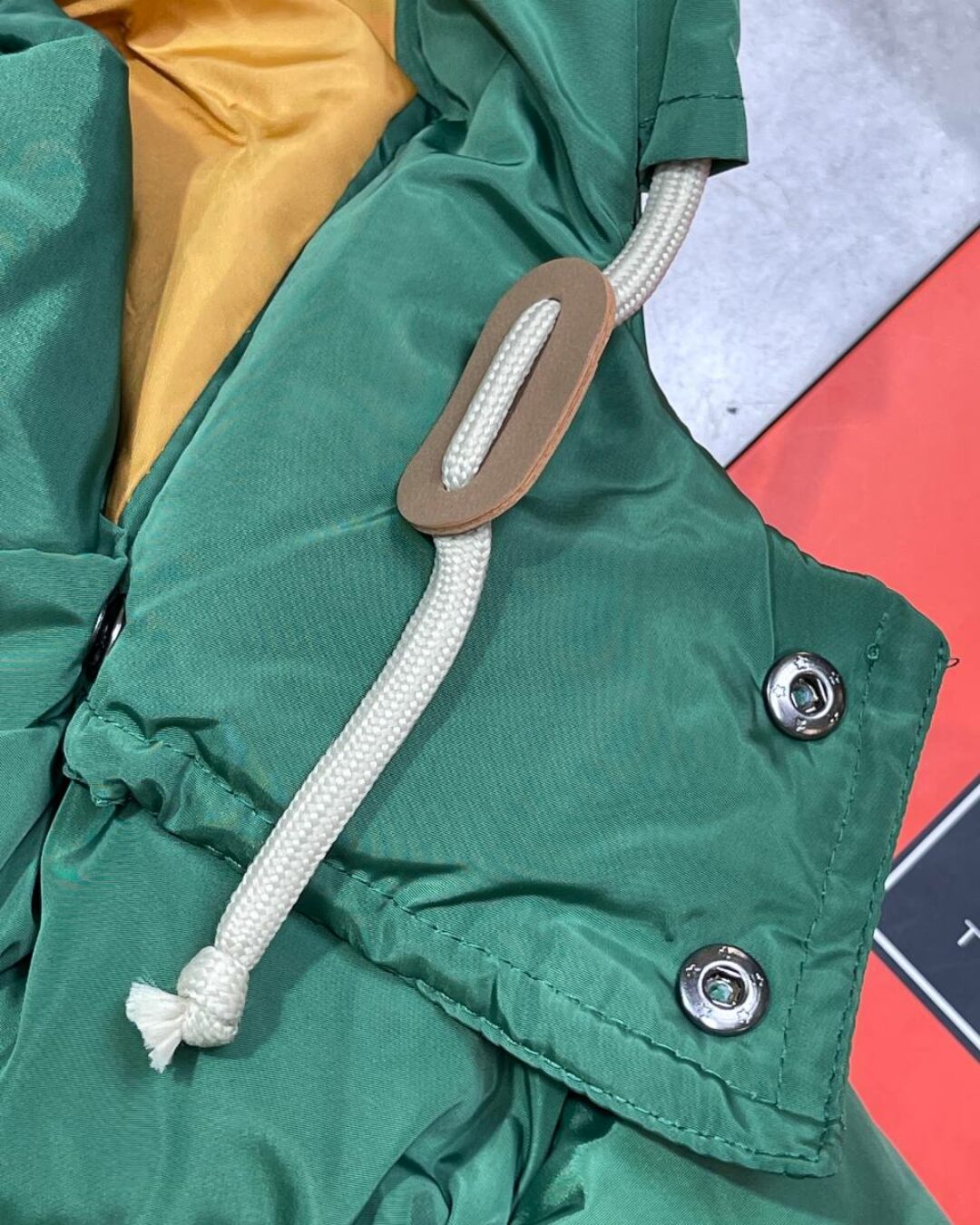 Куртка Gucci x The North Face