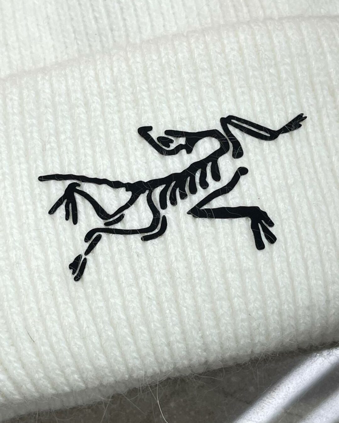 Шапка Arcteryx