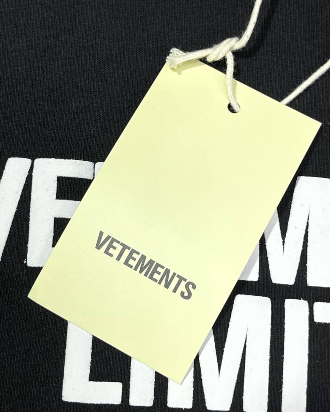 Футболка Vetements TNF Logo — фото 7