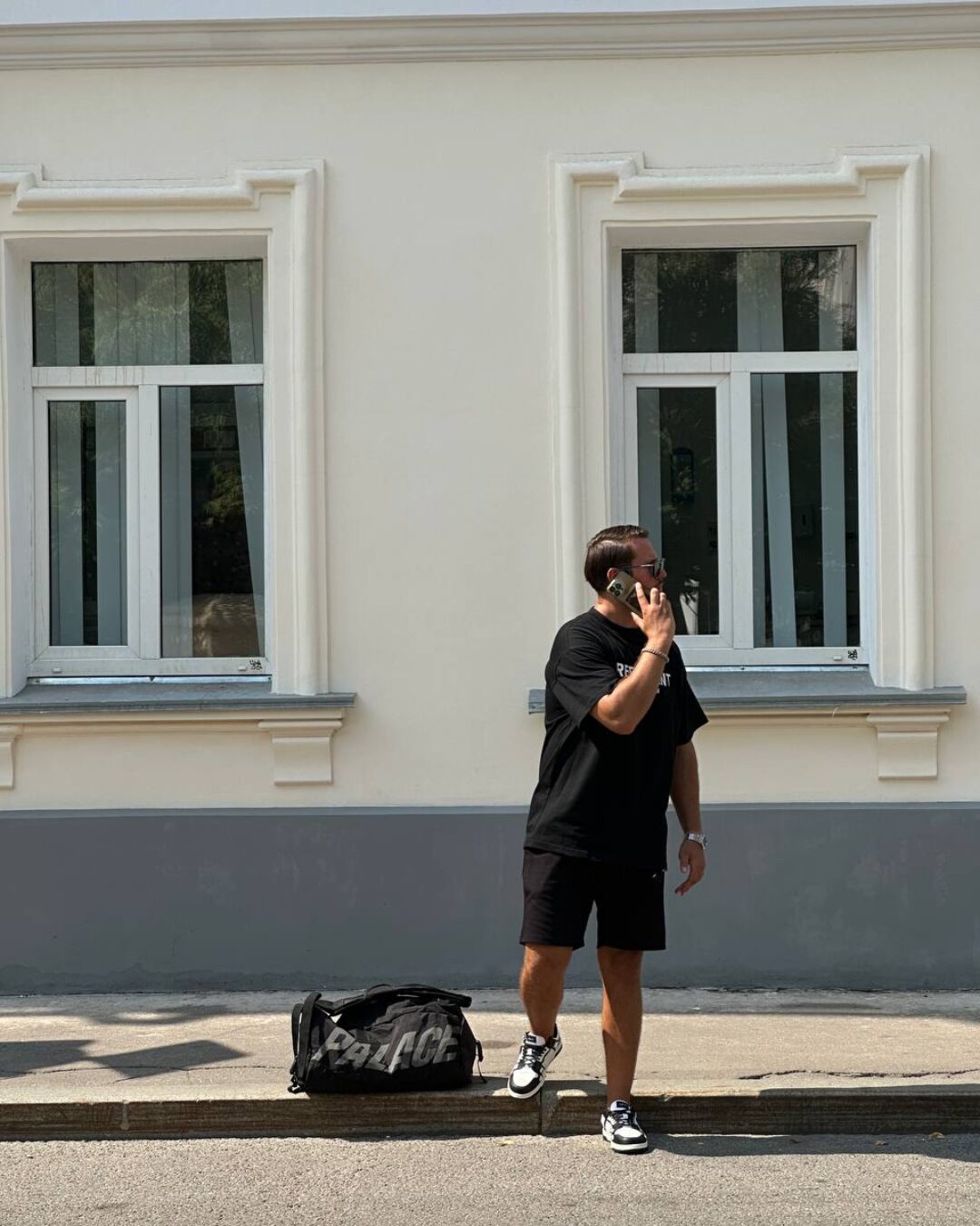 Сумка Palace