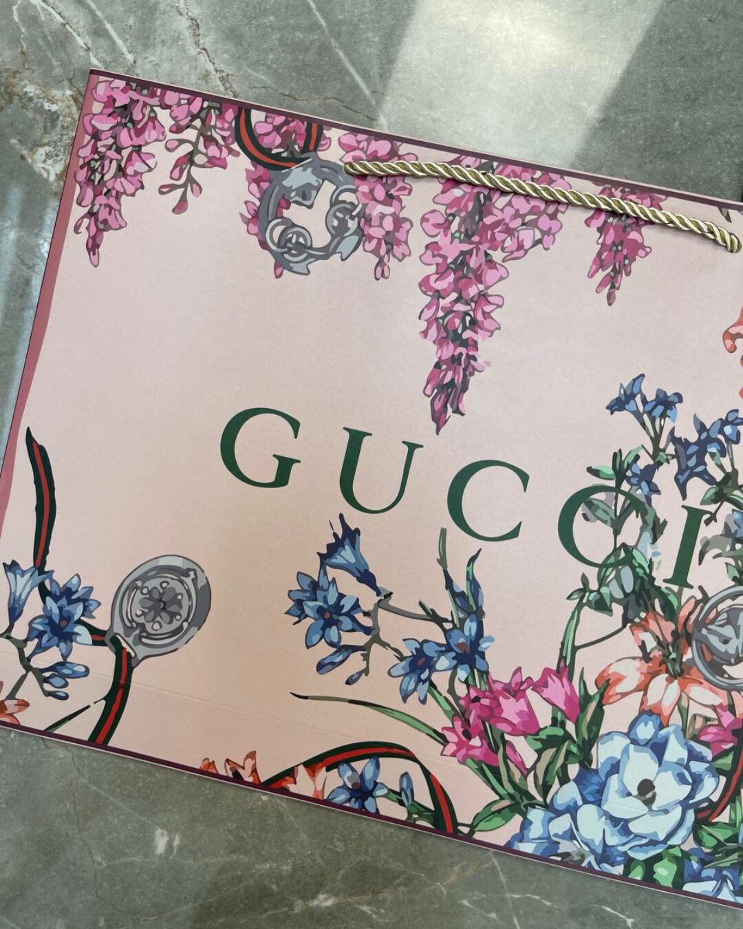 Пакет Gucci