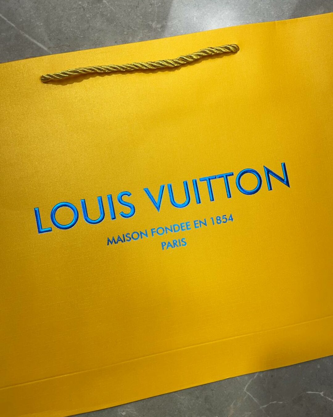 Пакет Louis Vuitton