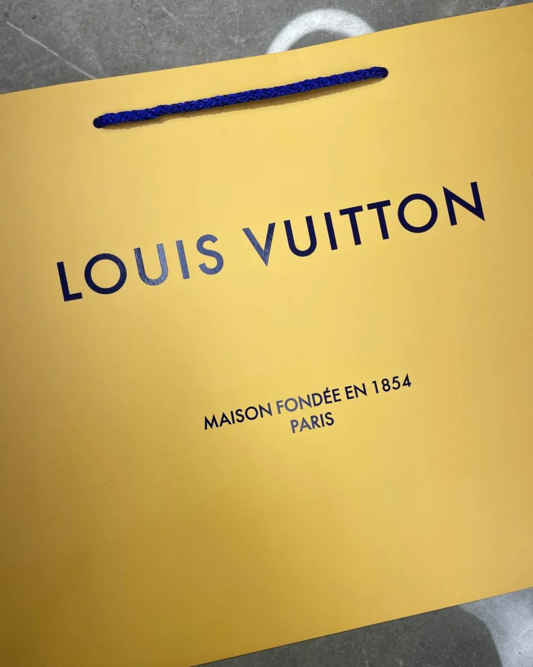 Пакет Louis Vuitton — фото 2