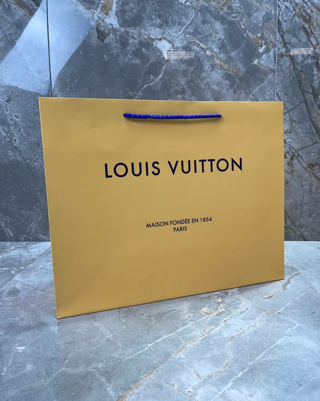 Пакет Louis Vuitton
