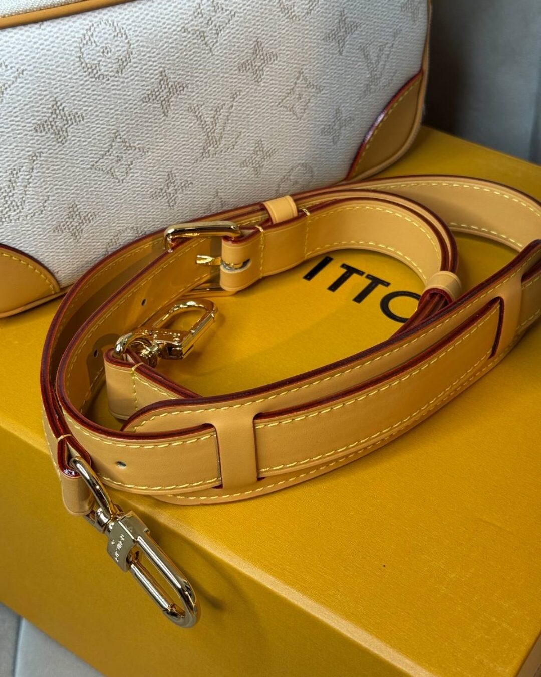 Сумка Louis Vuitton