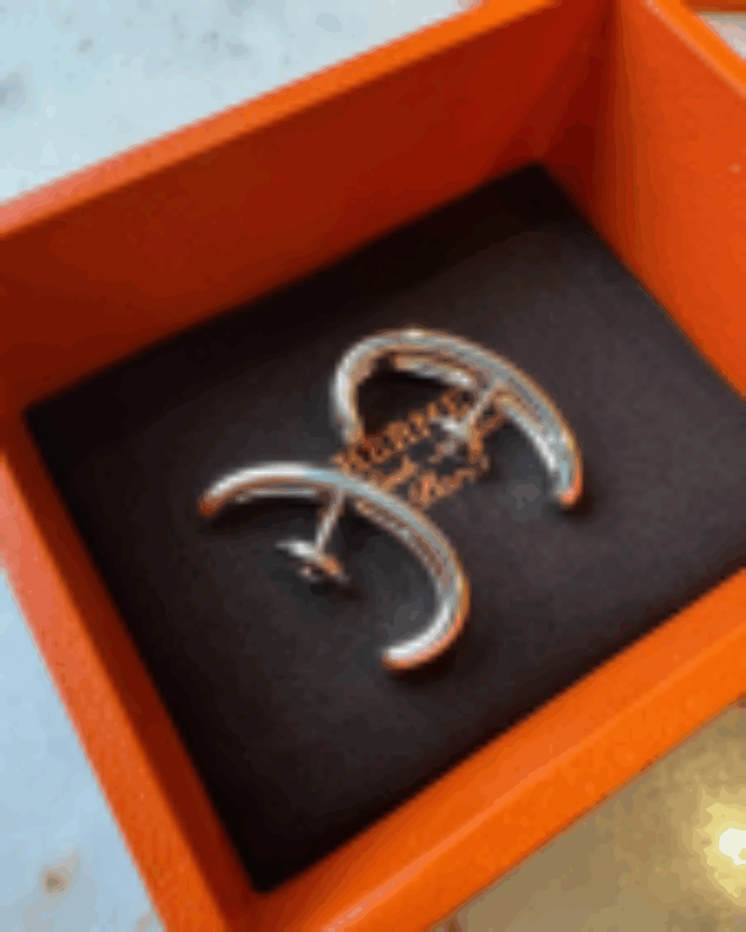Серьги Hermes