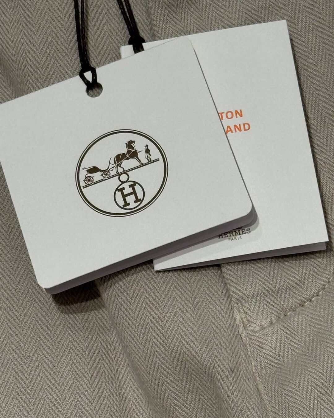 Льняные Штаны Hermes