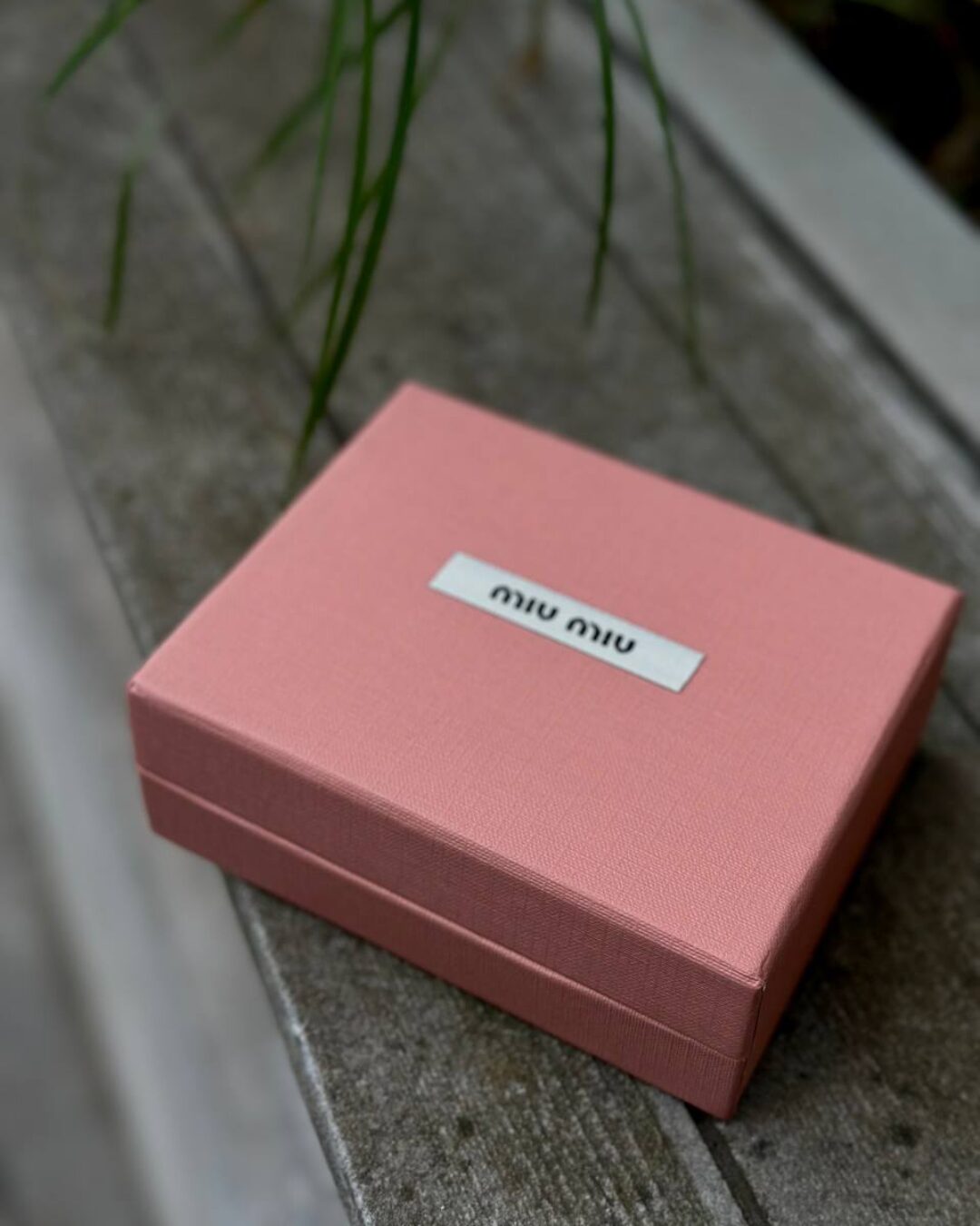 Картхолдер Miu Miu