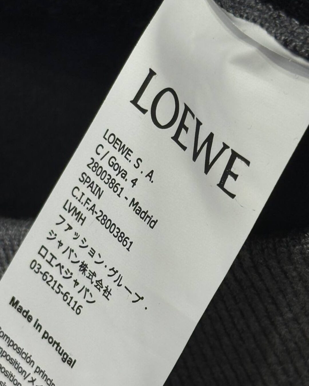 Худи Loewe