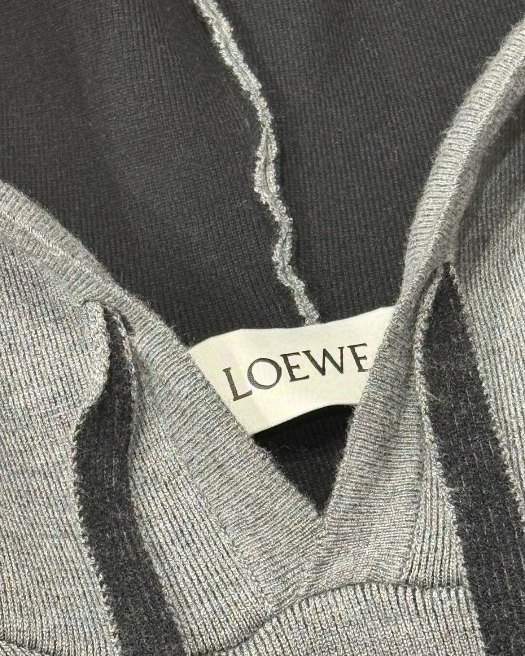 Худи Loewe