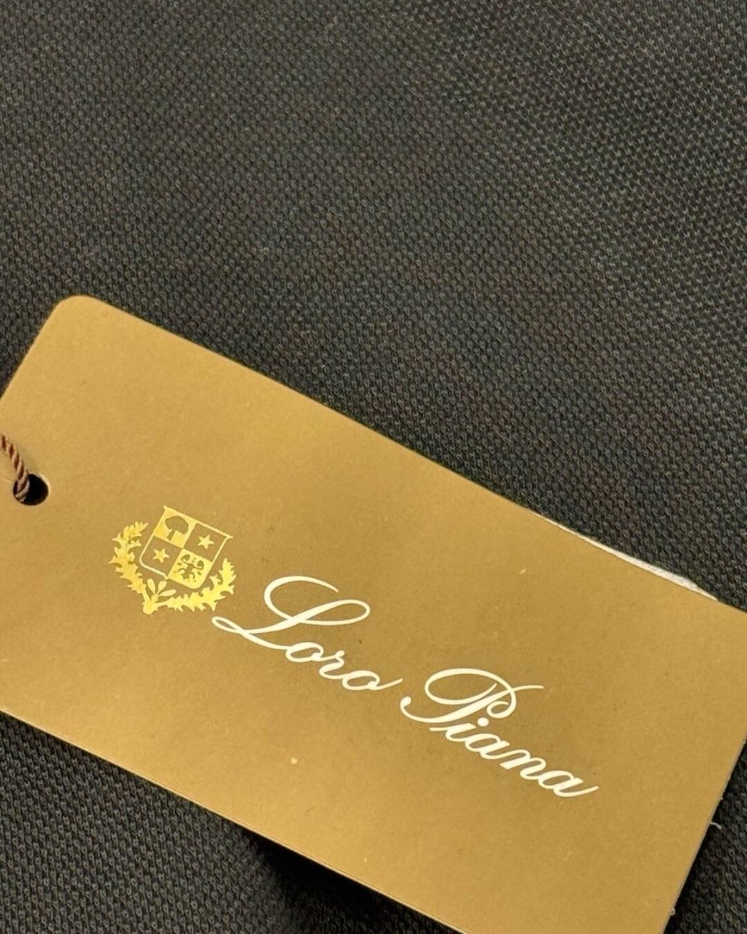 Спортивный Костюм Loro Piana