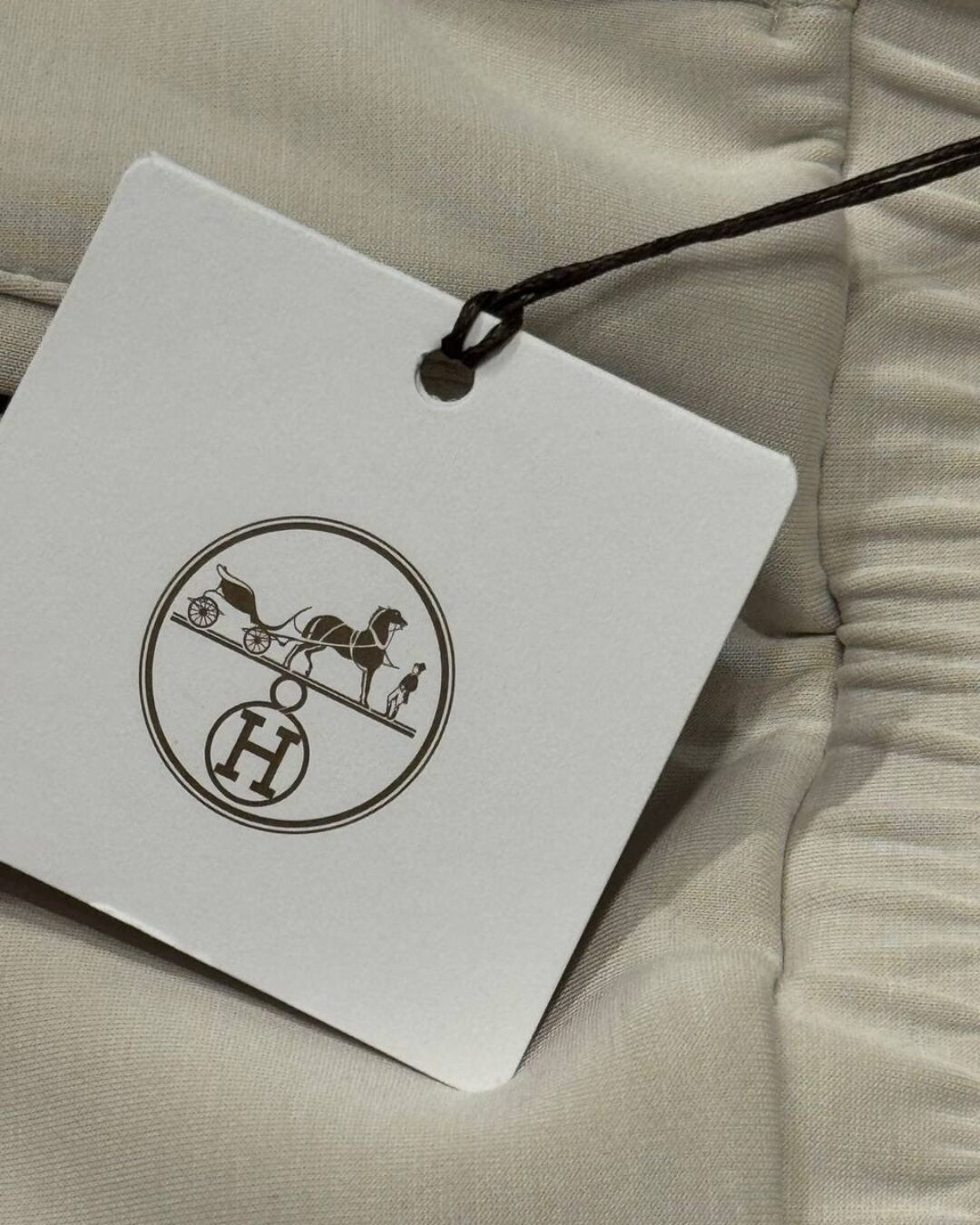 Спортивные Штаны Hermes