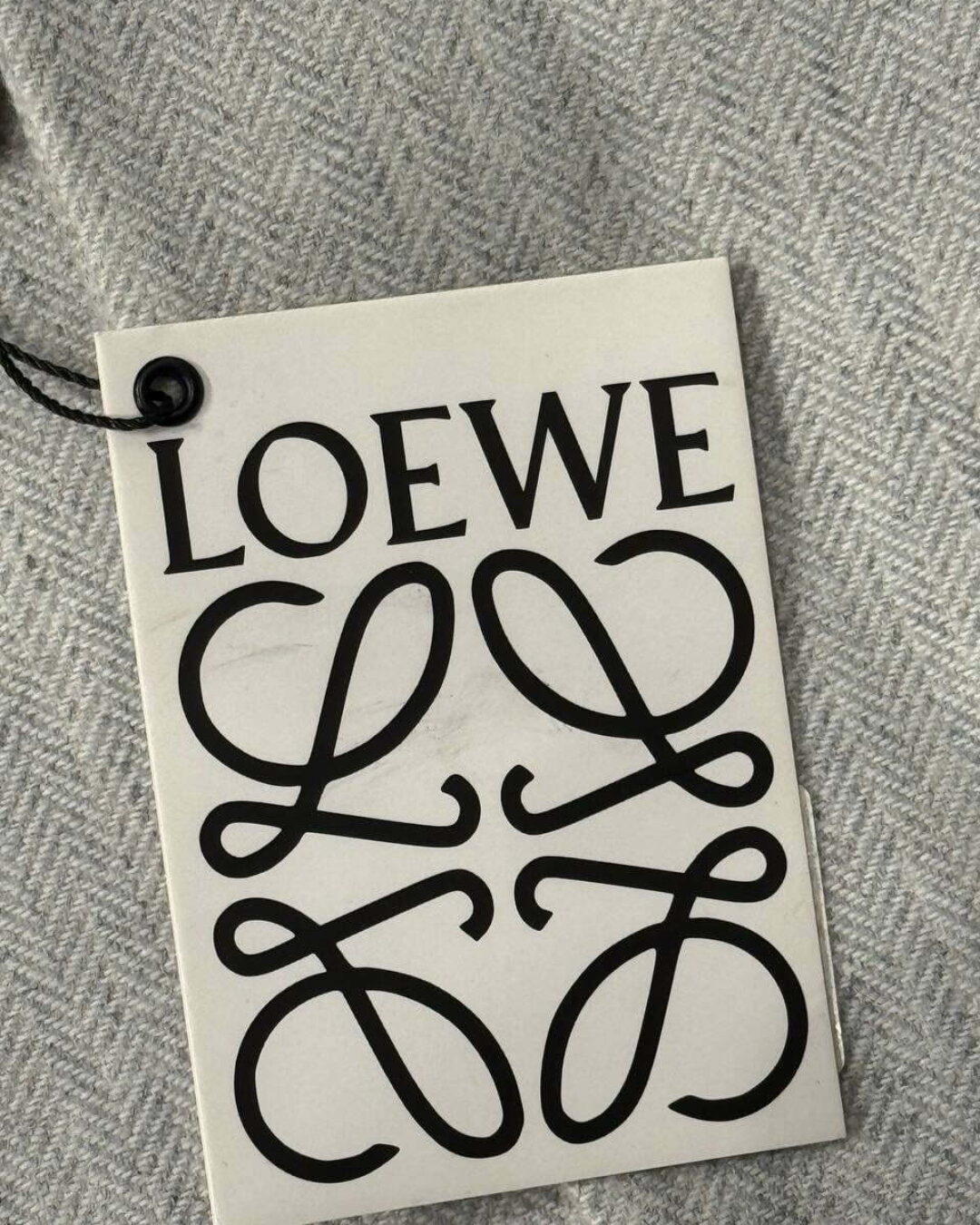 Пиджак Loewe