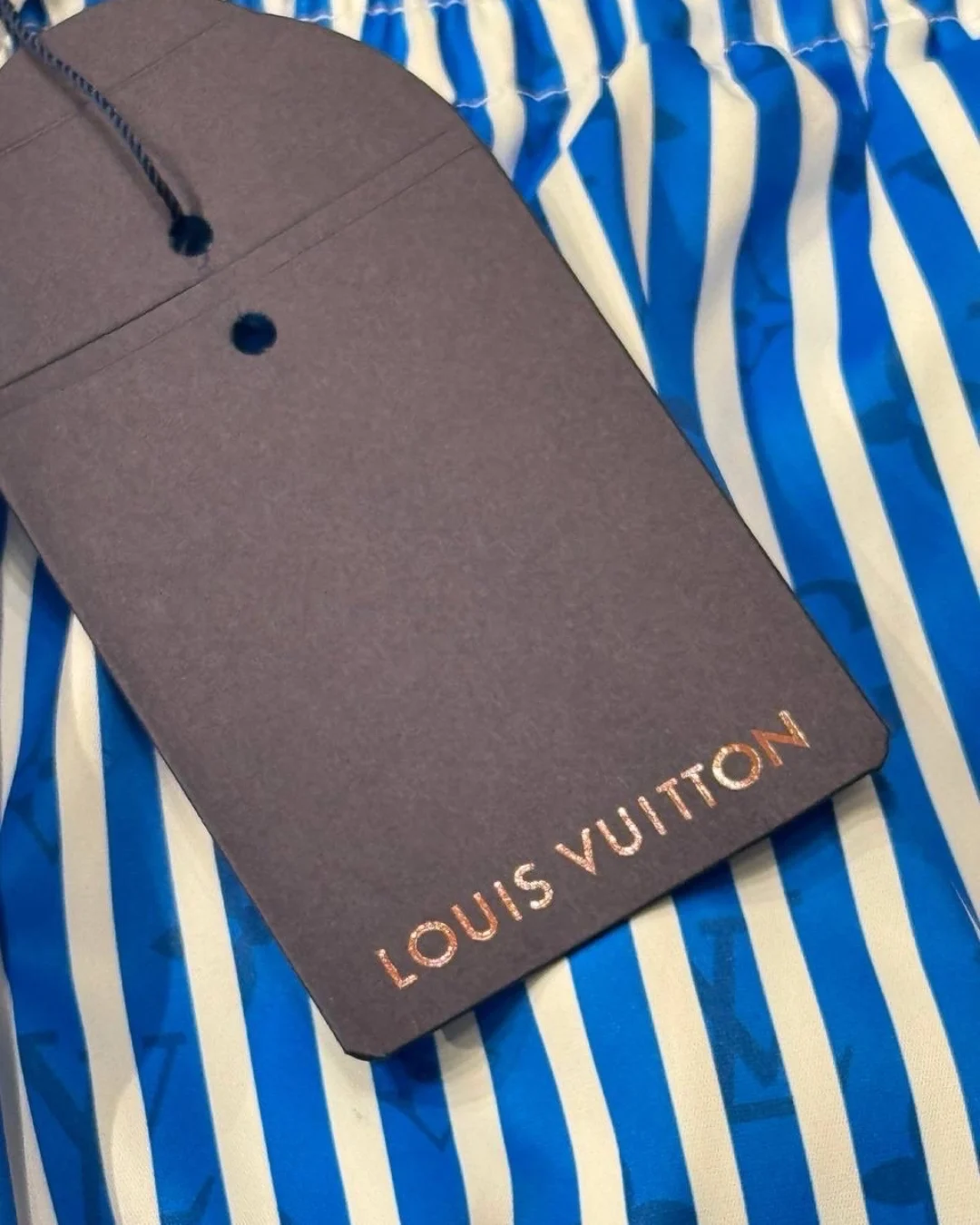 Плавательные Шорты Louis Vuitton — фото 5