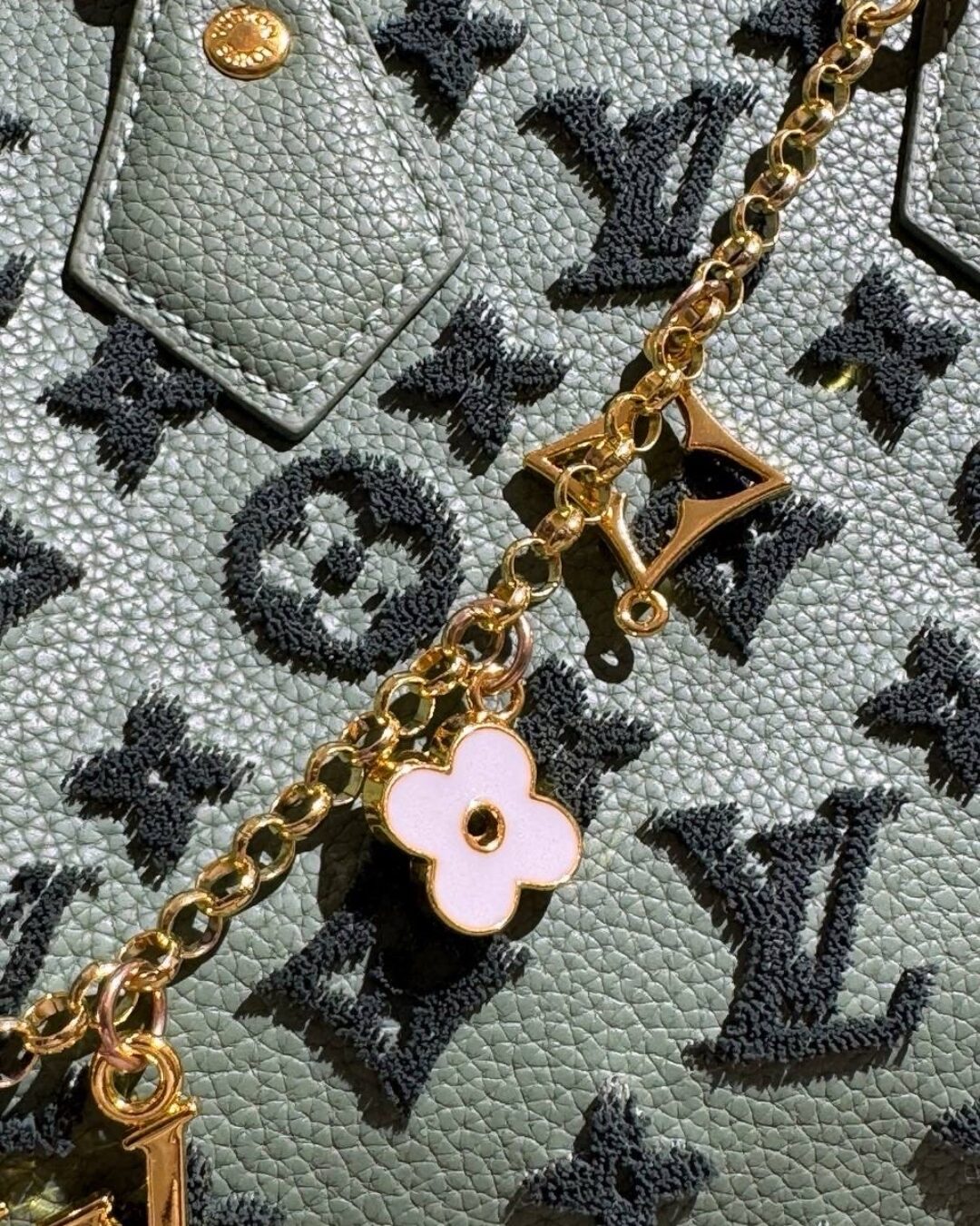 Сумка Louis Vuitton