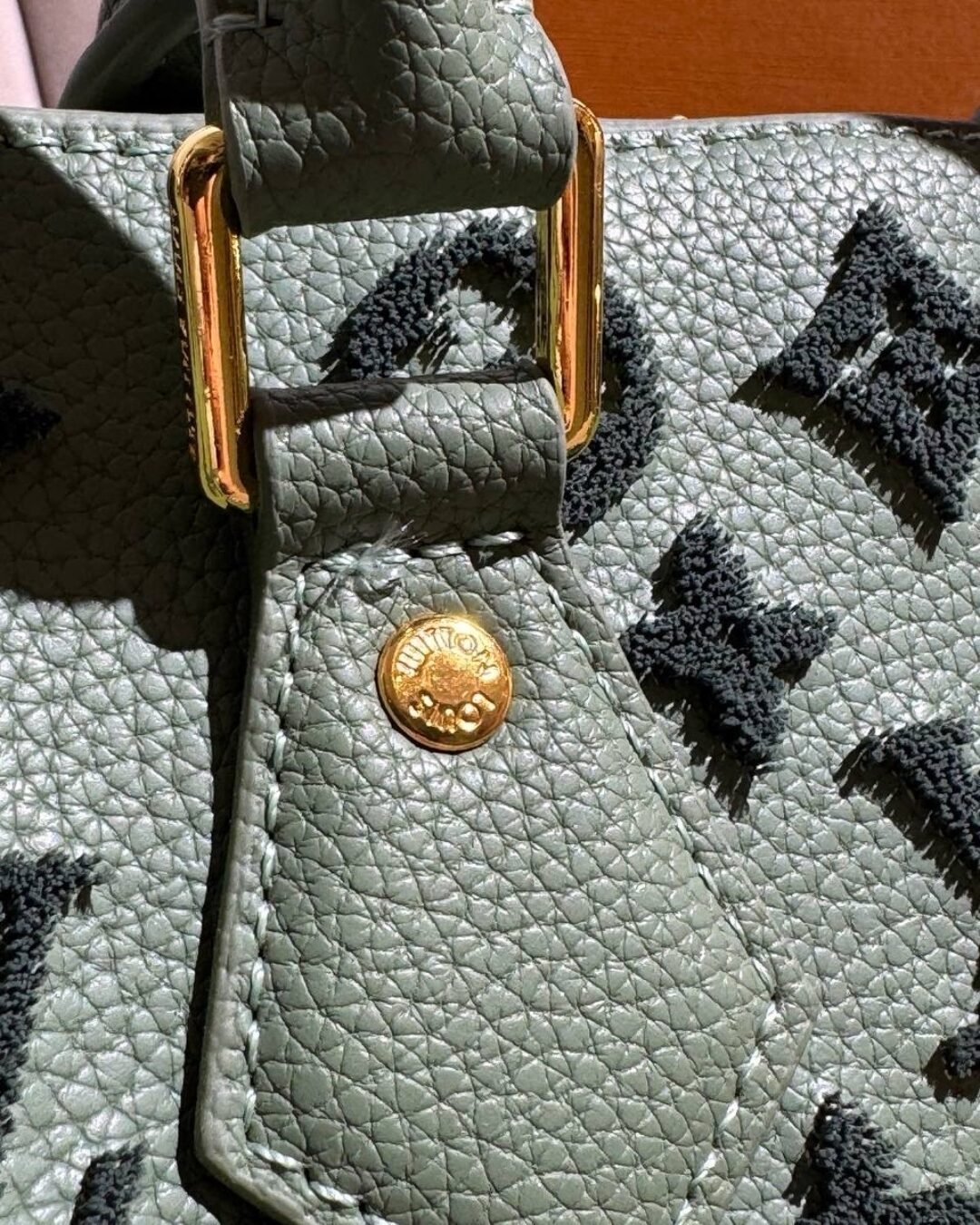 Сумка Louis Vuitton