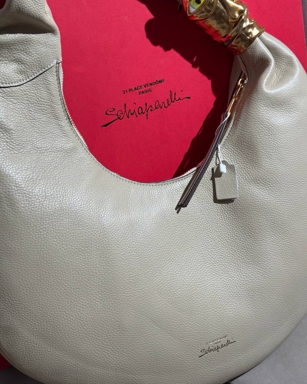 Сумка Schiaparelli