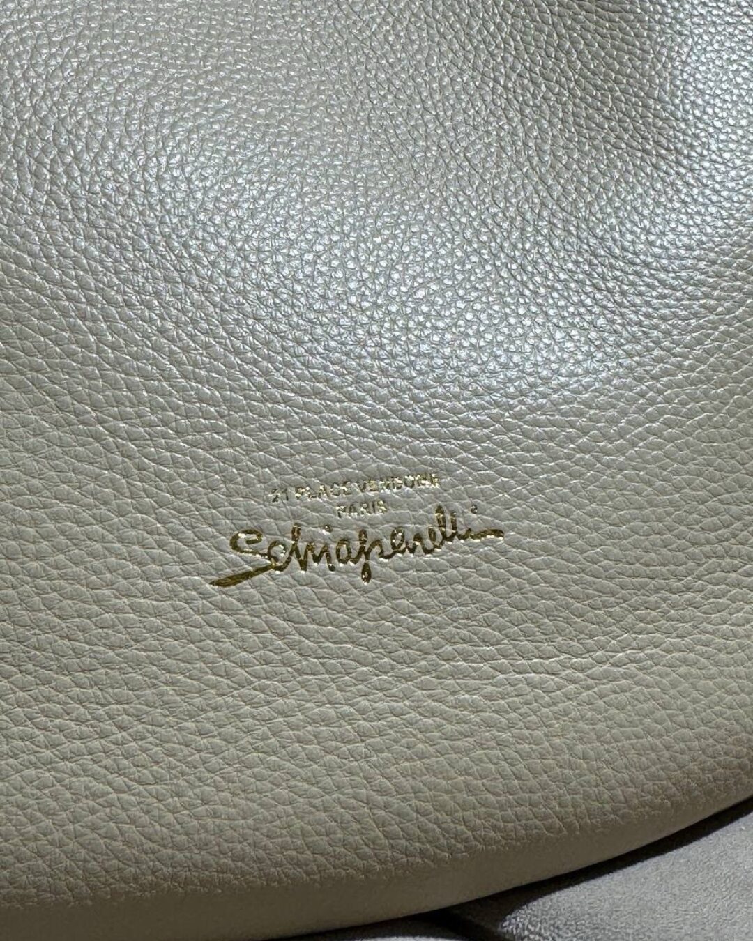 Сумка Schiaparelli